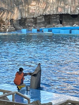 名古屋港水族館に投稿された画像（2022/11/13）