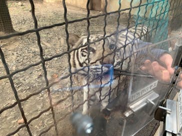 群馬サファリパークに投稿された画像（2022/11/13）