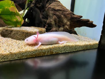 サンシャイン水族館に投稿された画像（2022/11/13）