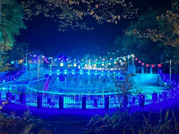 大阪府立花の文化園に投稿された画像（2022/11/13）