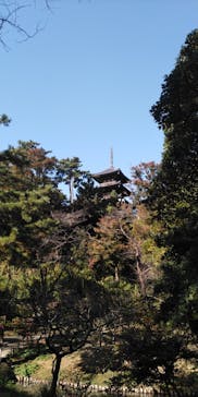 三溪園に投稿された画像（2022/11/13）