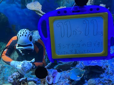 サンシャイン水族館に投稿された画像（2022/11/13）