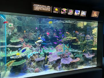 サンシャイン水族館に投稿された画像（2022/11/13）