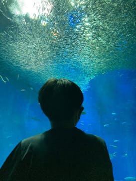 アクアワールド茨城県大洗水族館に投稿された画像（2022/11/13）