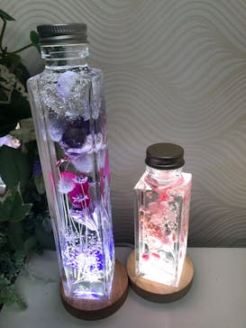 ずこうしつ〜sugamo〜に投稿された画像（2022/11/13）