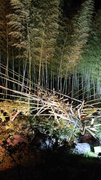 国営昭和記念公園 秋の夜散歩に投稿された画像（2022/11/13）