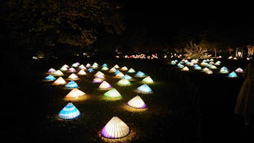 国営昭和記念公園 秋の夜散歩に投稿された画像（2022/11/13）