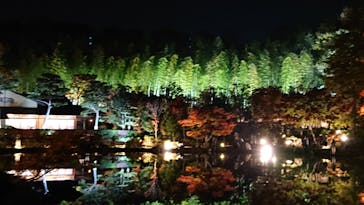 国営昭和記念公園 秋の夜散歩に投稿された画像（2022/11/13）