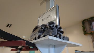 アニタッチみなとみらいに投稿された画像（2022/11/13）