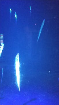 大分マリーンパレス水族館 「うみたまご」に投稿された画像（2022/11/13）