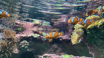 サンシャイン水族館に投稿された画像（2022/11/13）