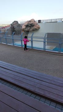 アクアワールド茨城県大洗水族館に投稿された画像（2022/11/13）