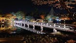 国営昭和記念公園 秋の夜散歩に投稿された画像（2022/11/13）