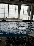 アクアワールド茨城県大洗水族館に投稿された画像（2022/11/13）