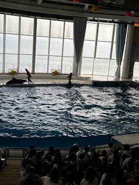 アクアワールド茨城県大洗水族館に投稿された画像（2022/11/13）