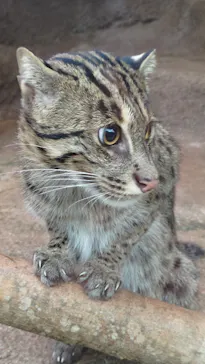 神戸どうぶつ王国に投稿された画像（2022/11/13）