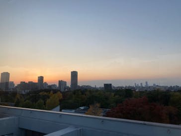 国立科学博物館に投稿された画像（2022/11/13）