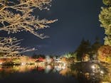 国営昭和記念公園 秋の夜散歩に投稿された画像（2022/11/13）