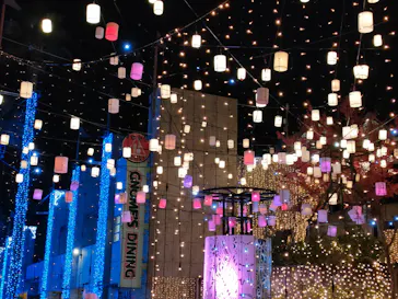 ひらかたパークに投稿された画像（2022/11/13）