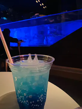 すみだ水族館に投稿された画像（2022/11/13）