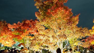 国営昭和記念公園 秋の夜散歩に投稿された画像（2022/11/13）
