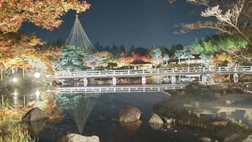国営昭和記念公園 秋の夜散歩に投稿された画像（2022/11/13）
