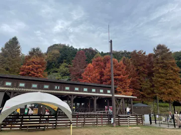 わんダフルネイチャーヴィレッジに投稿された画像（2022/11/13）