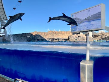名古屋港水族館に投稿された画像（2022/11/13）