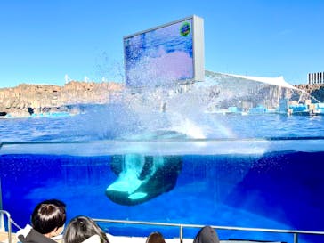 名古屋港水族館に投稿された画像（2022/11/13）