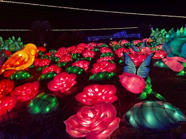 伊豆ぐらんぱる公園に投稿された画像（2022/11/13）