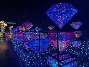 伊豆ぐらんぱる公園に投稿された画像（2022/11/13）