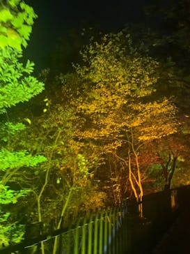 ムーミンバレーパークに投稿された画像（2022/11/13）