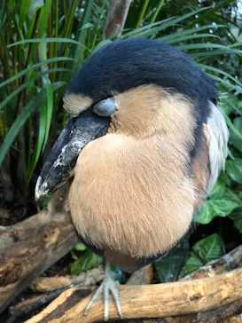 神戸どうぶつ王国に投稿された画像（2022/11/13）