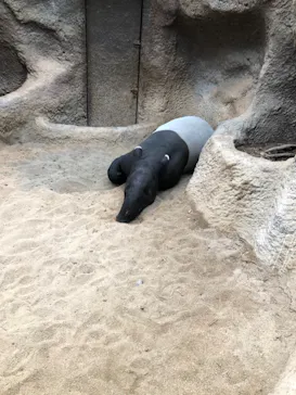 神戸どうぶつ王国に投稿された画像（2022/11/13）