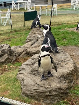 名古屋港水族館に投稿された画像（2022/11/13）