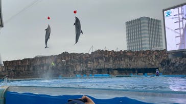 名古屋港水族館に投稿された画像（2022/11/13）