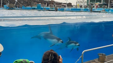 名古屋港水族館に投稿された画像（2022/11/13）