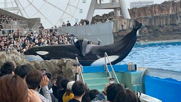 名古屋港水族館に投稿された画像（2022/11/13）