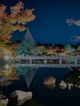 国営昭和記念公園 秋の夜散歩に投稿された画像（2022/11/13）
