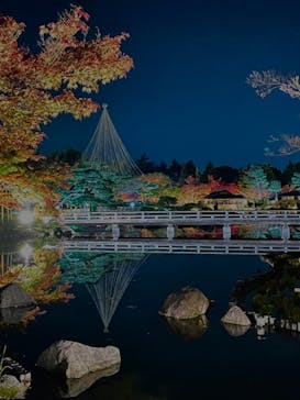 国営昭和記念公園 秋の夜散歩に投稿された画像（2022/11/13）
