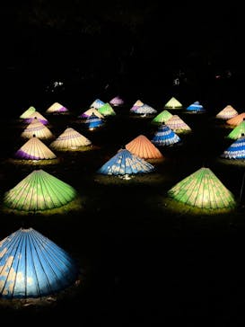 国営昭和記念公園 秋の夜散歩に投稿された画像（2022/11/13）