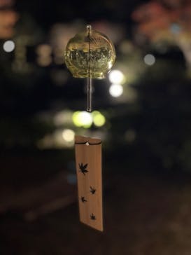 国営昭和記念公園 秋の夜散歩に投稿された画像（2022/11/13）