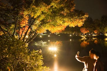 国営昭和記念公園 秋の夜散歩に投稿された画像（2022/11/13）