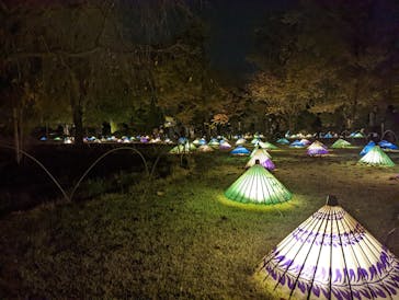 国営昭和記念公園 秋の夜散歩に投稿された画像（2022/11/13）