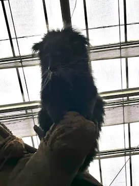 神戸どうぶつ王国に投稿された画像（2022/11/13）