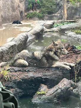 神戸どうぶつ王国に投稿された画像（2022/11/13）
