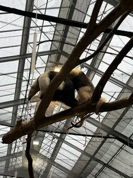 神戸どうぶつ王国に投稿された画像（2022/11/13）