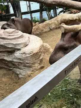 神戸どうぶつ王国に投稿された画像（2022/11/13）