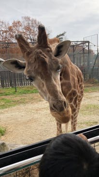 那須サファリパークに投稿された画像（2022/11/13）