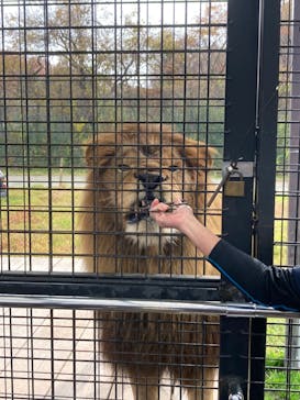 那須サファリパークに投稿された画像（2022/11/13）